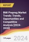 BMI Prepreg Market Trends: Trends, Opportunities and Competitive Analysis [2024-2030] - Product Image
